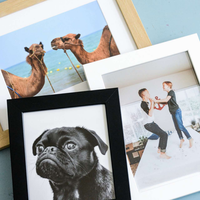 Various framed photographs 