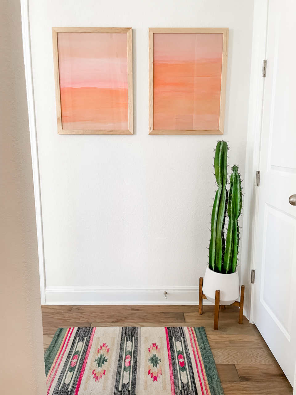 Southwestern decor with cactus and framed art prints.