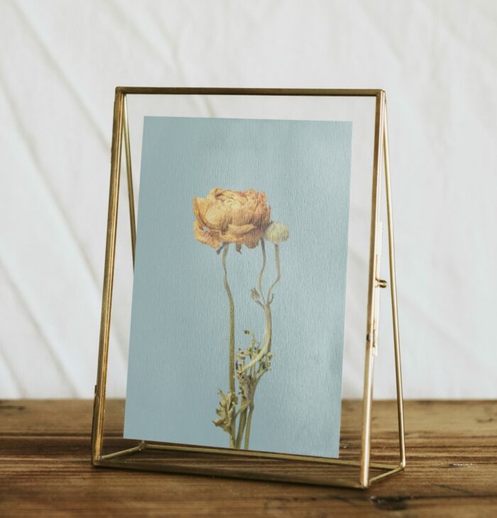 Floating Frames Vs. Float Mounting: What's The Difference? - Non-traditional Floating frame holding a flower image