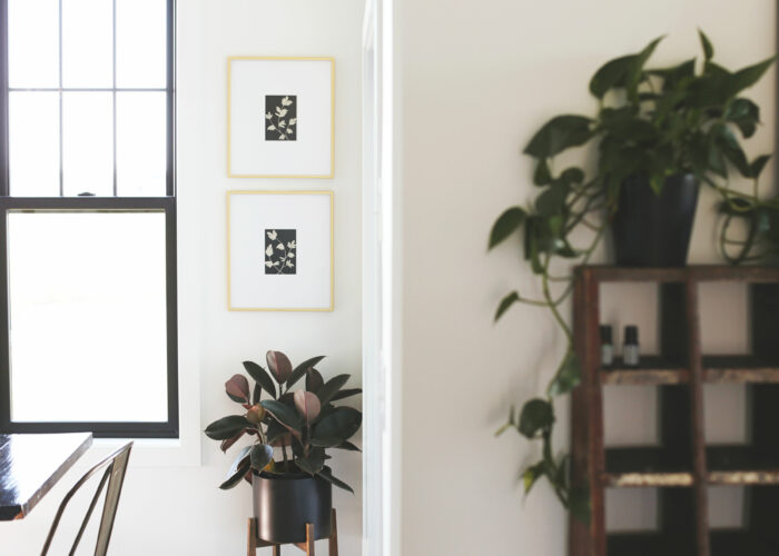 Alternative Living & Functional Framing: A small bedroom corner with potted plant and two framed flower prints