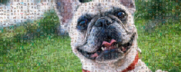 Photo mosaic 2