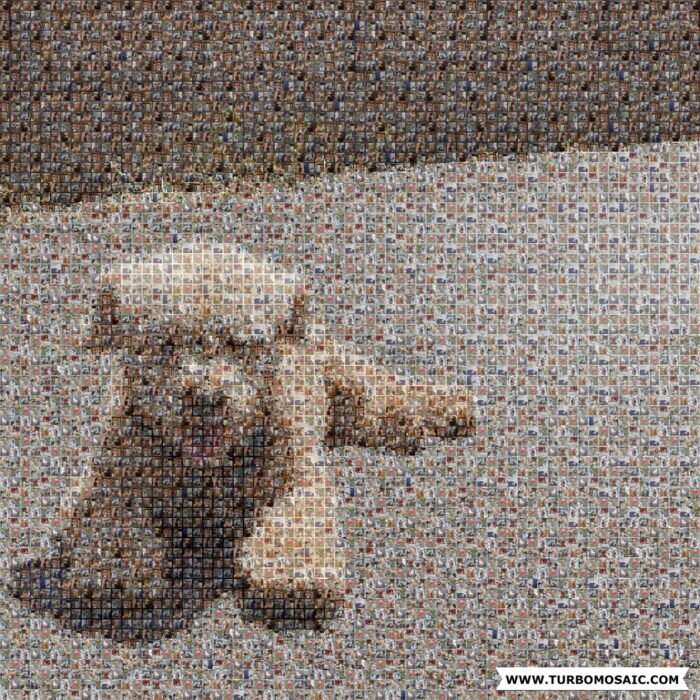 Photo mosaic of a dog created using software from Turbomosaic.com