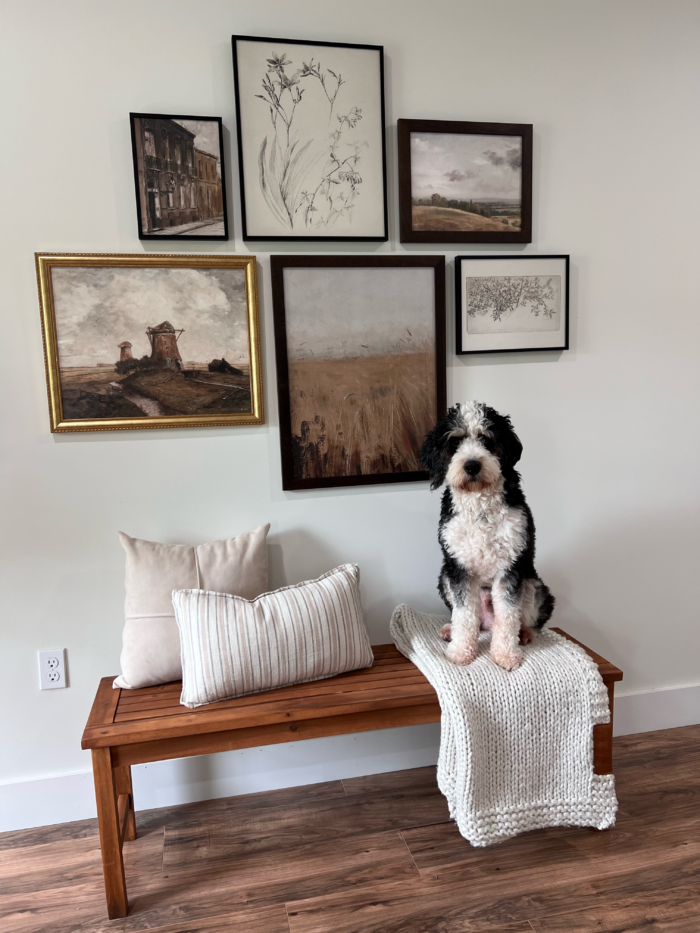 Frame The Masters: Fine Art Framing For Classic Artwork: A dog sitting below a collection of framed fine art