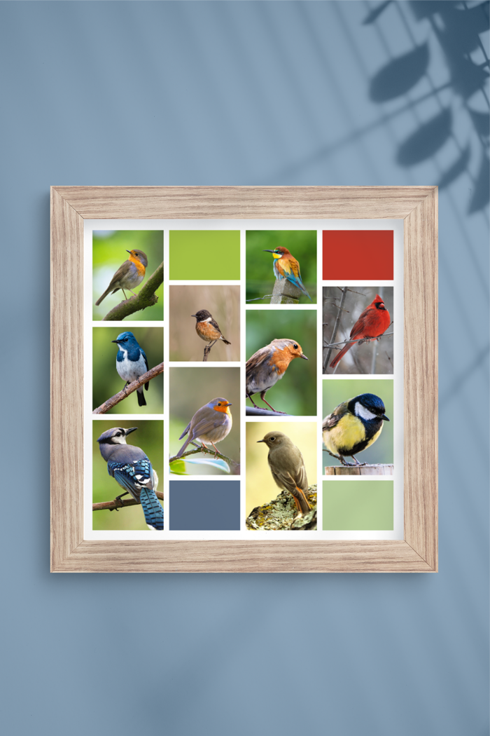 Framed bird picture grid