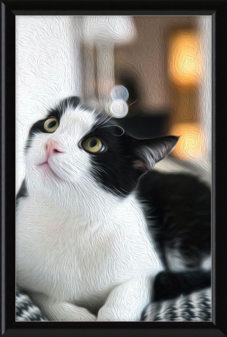 Adorable Pet Art: Oil paint filter on tuxedo cat photo 