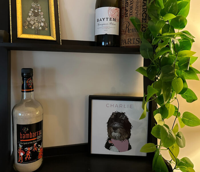 Adorable Pet Art: Pet portrait in a bar shelf