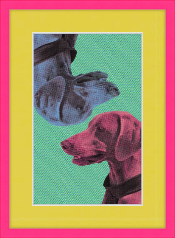 Adorable Pet Art: Weimaraner dogs in pop art comic style framed