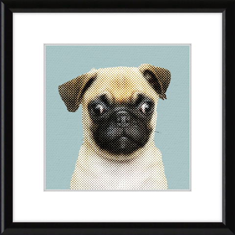 Adorable Pet Art: Pug dog in pop art style