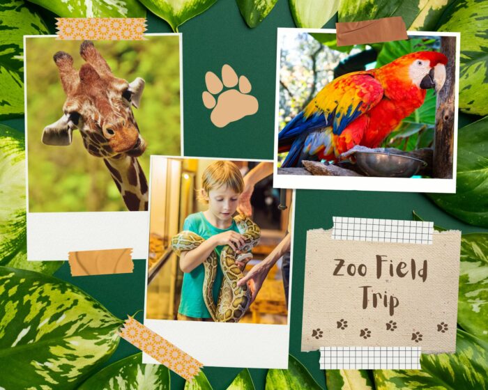 Digital scrapbooking with a zoo theme