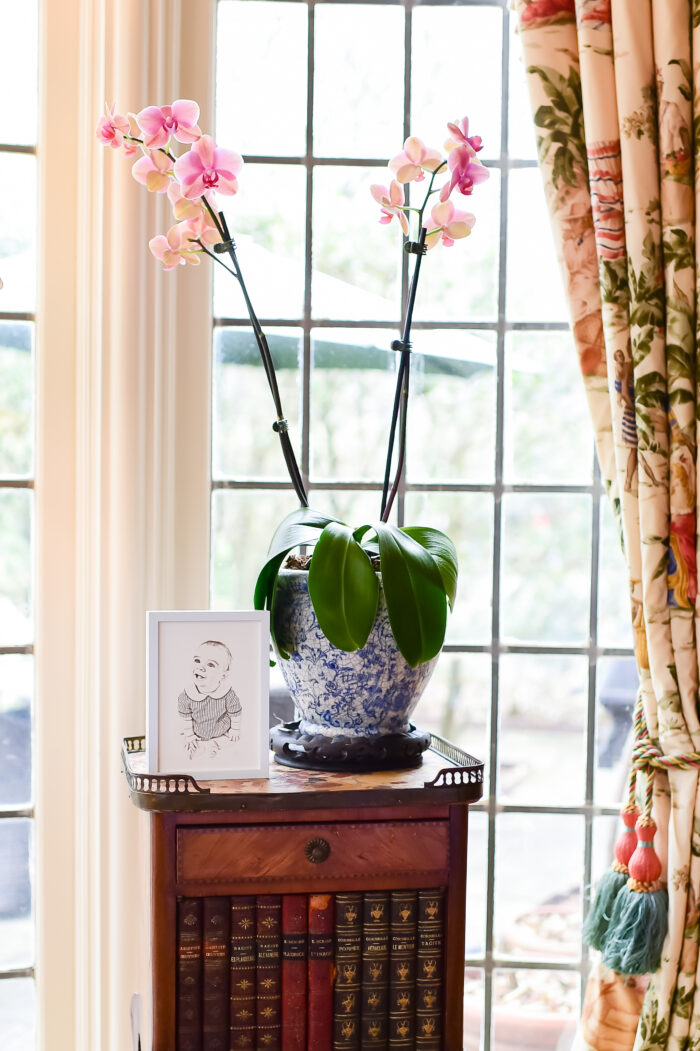 A framed print beside a plant