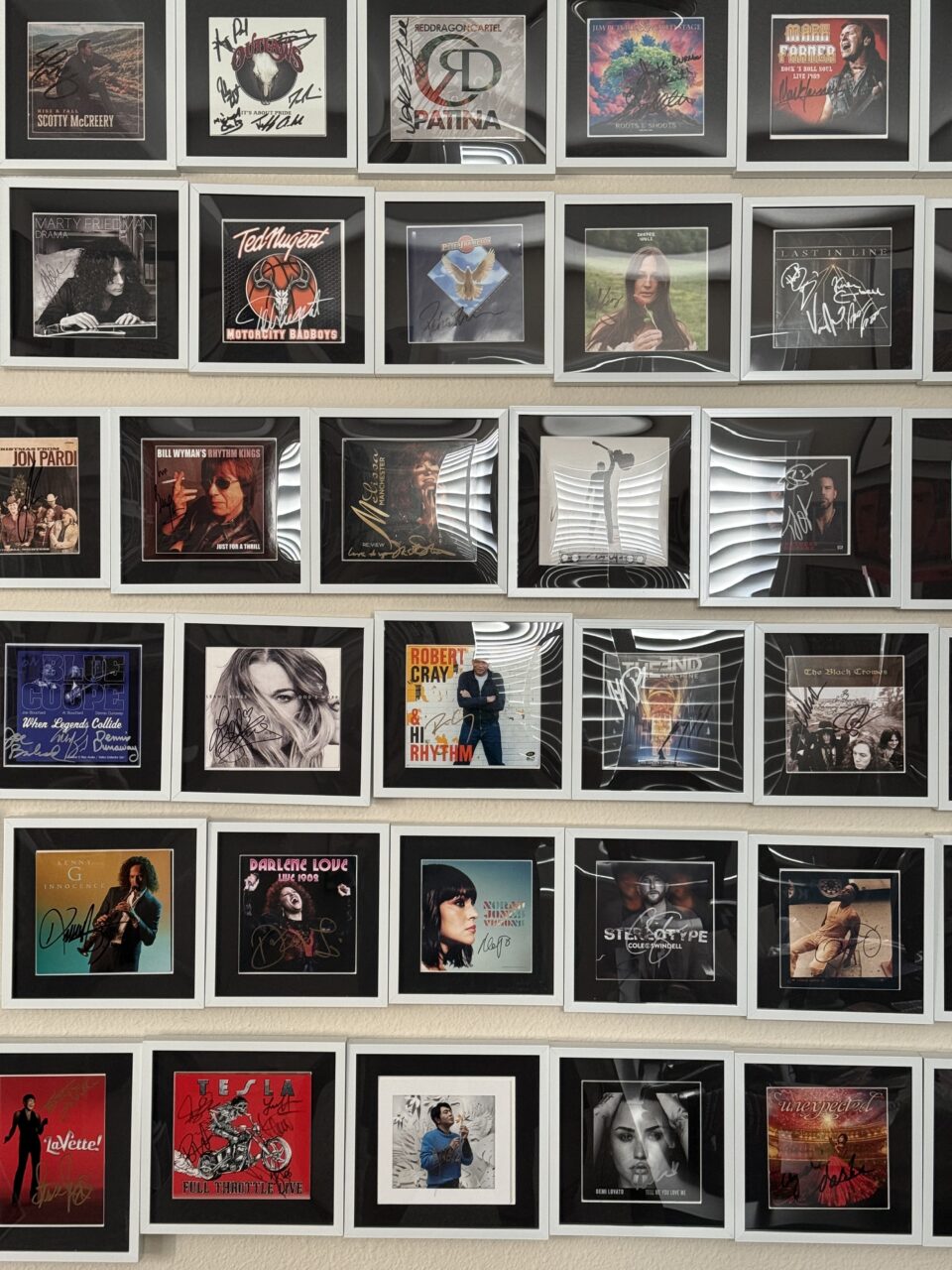 Collection & Award Framing: Trading Cards, Pins, Vynils, & More 16 framed cd cover collection