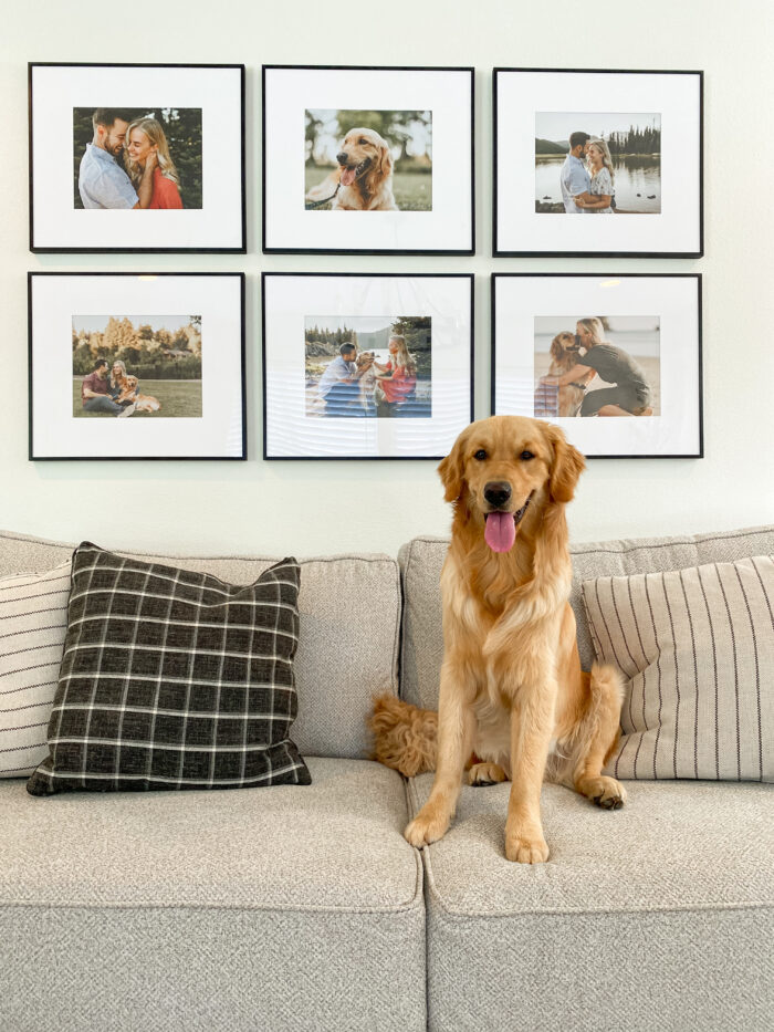 Level Framing: family photos displayed in a grid pattern