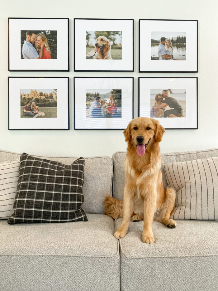 At Home Photoshoot: A family photoshoot by a backyard lake framed in a living room.