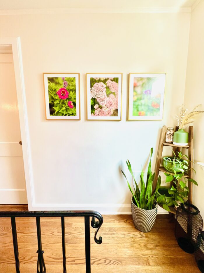 Why Is Framing So Expensive? - A sunny hallway decorated with 3 framed flower prints.
