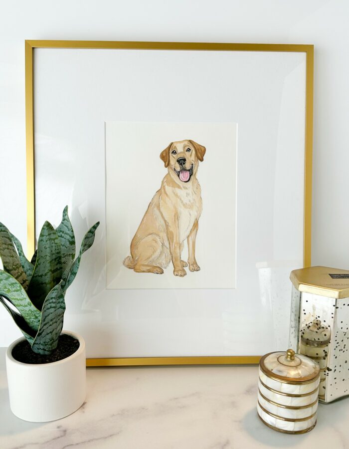 Gallery Show & Art Fair Framing: A Golden Lab illustration in a Satin Gold Ashford frame. 