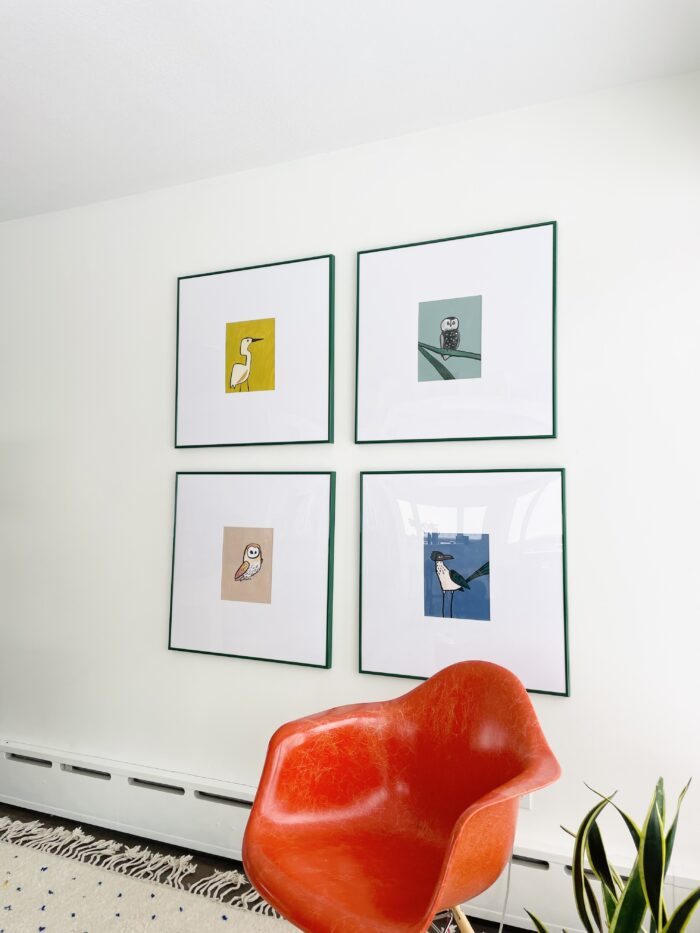 Gallery Show & Art Fair Framing: Wild bird illustrations in Green Hanover frames. 