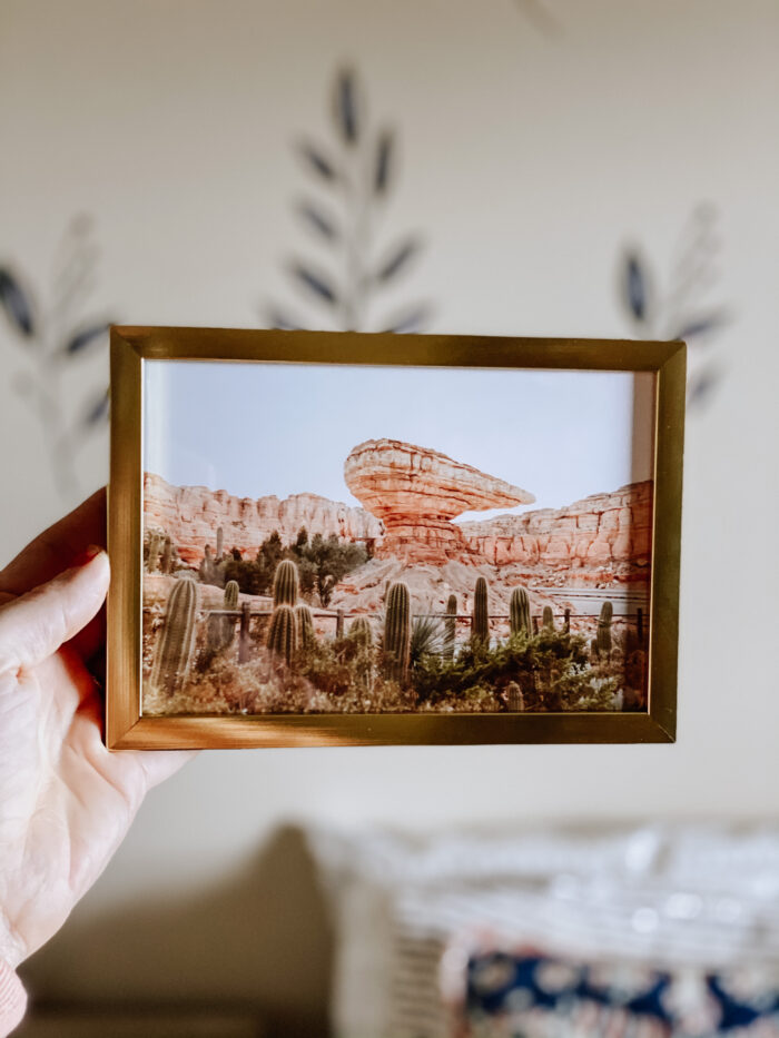 Nature Photography: A framed photo of a rock formation and cactus