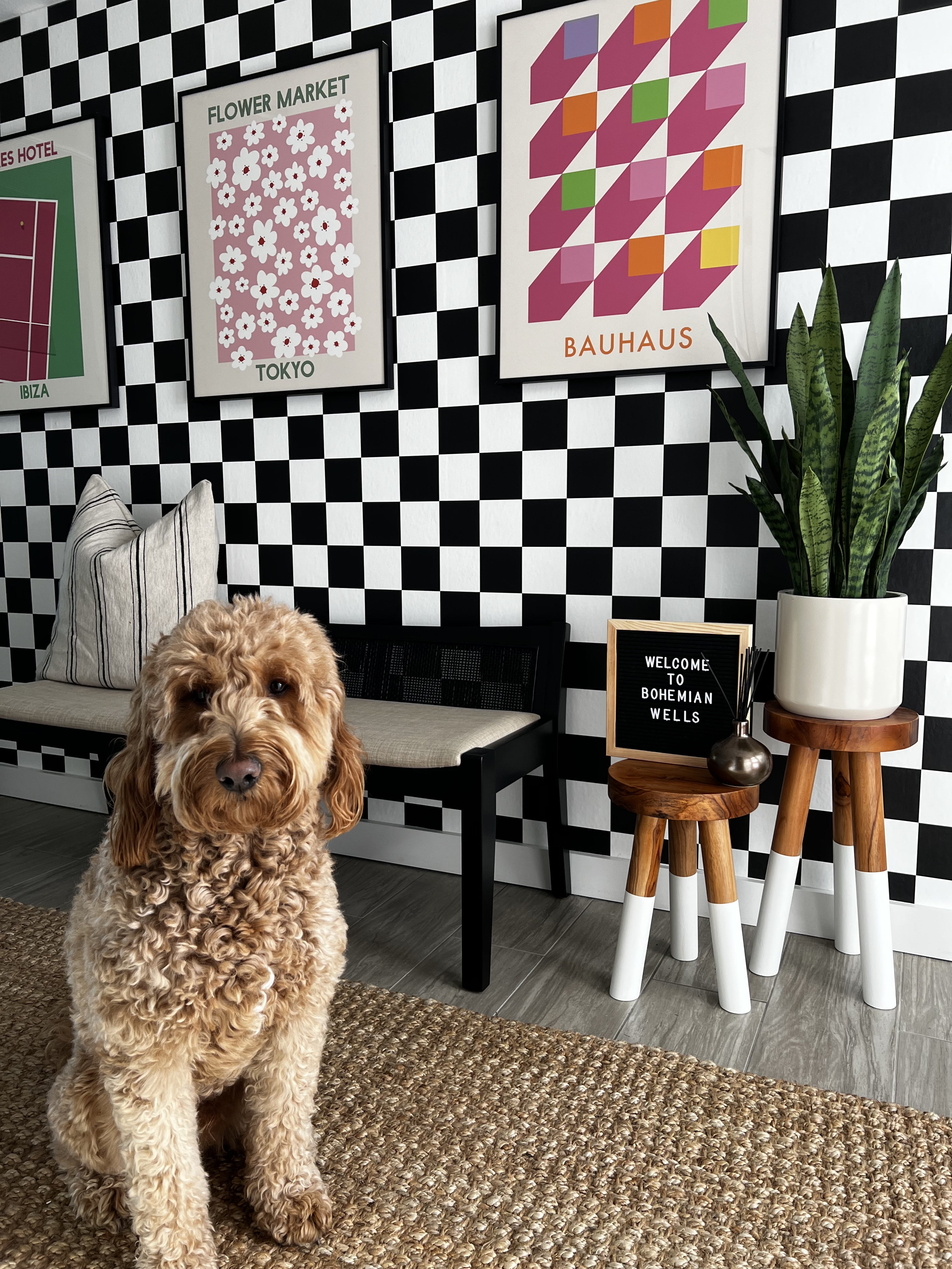 Big picture frames with bold graphic art in a hallway