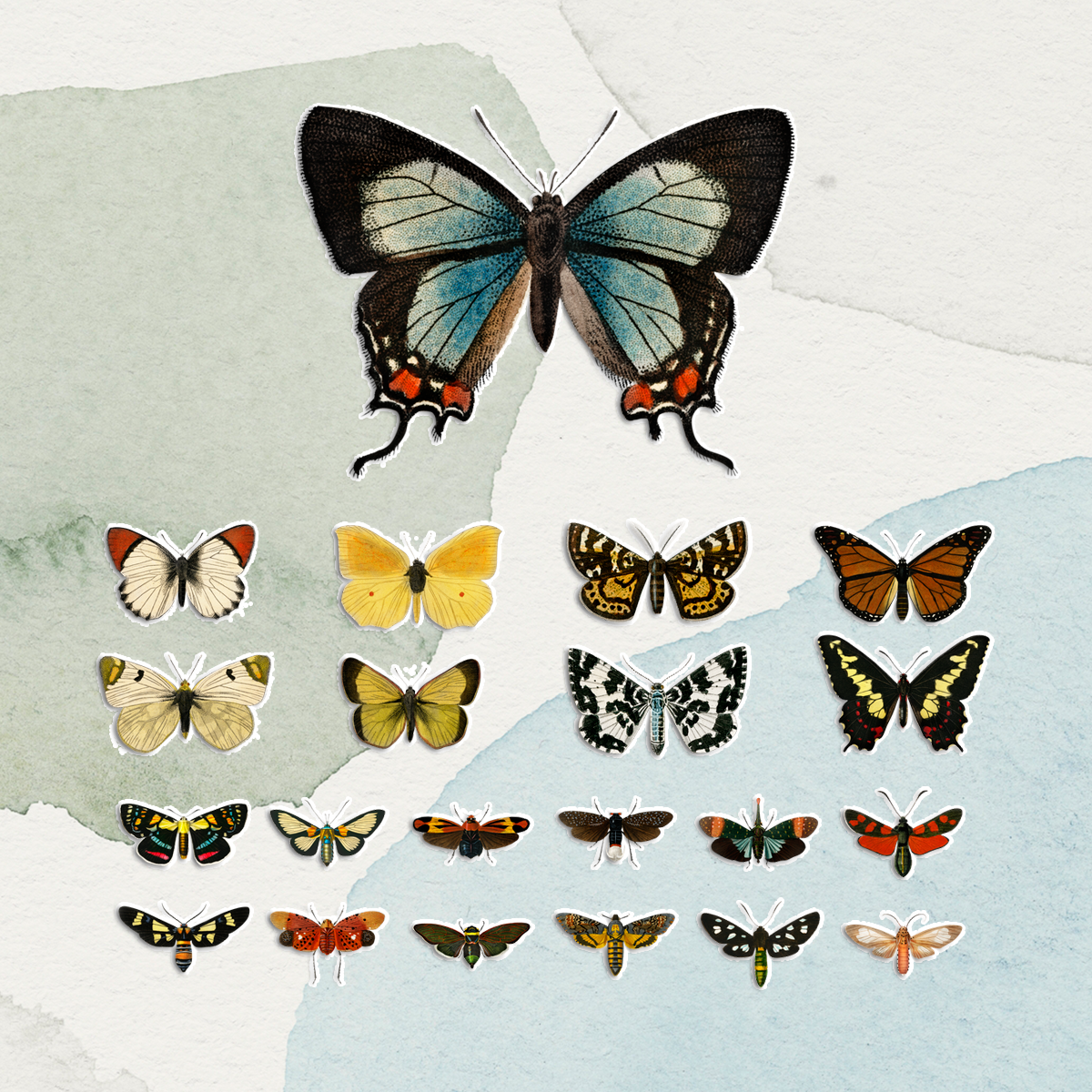 Sticker Art: Creative Ways To Showcase Your Favorite Stickers - Butterfly stickers 