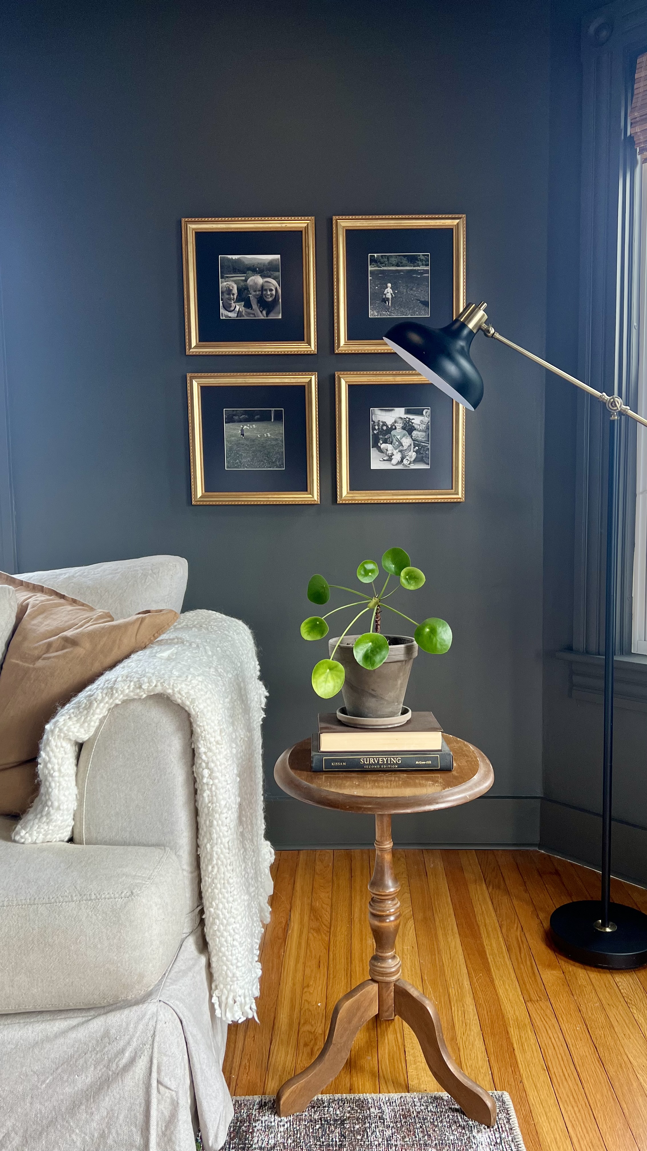 A seating area with gold frames and a potted plant 