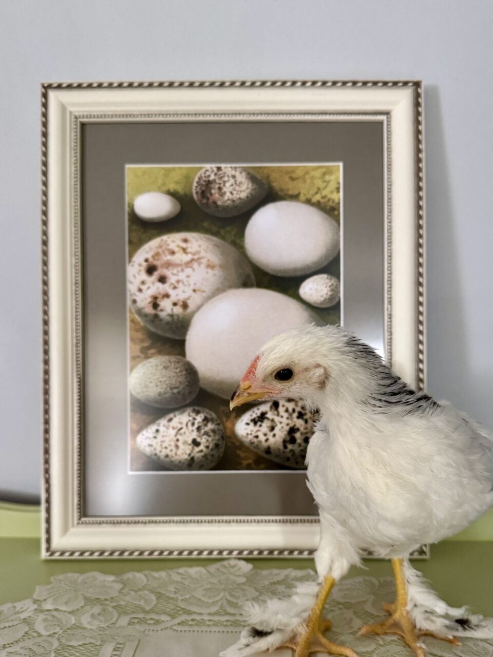 find art prints online