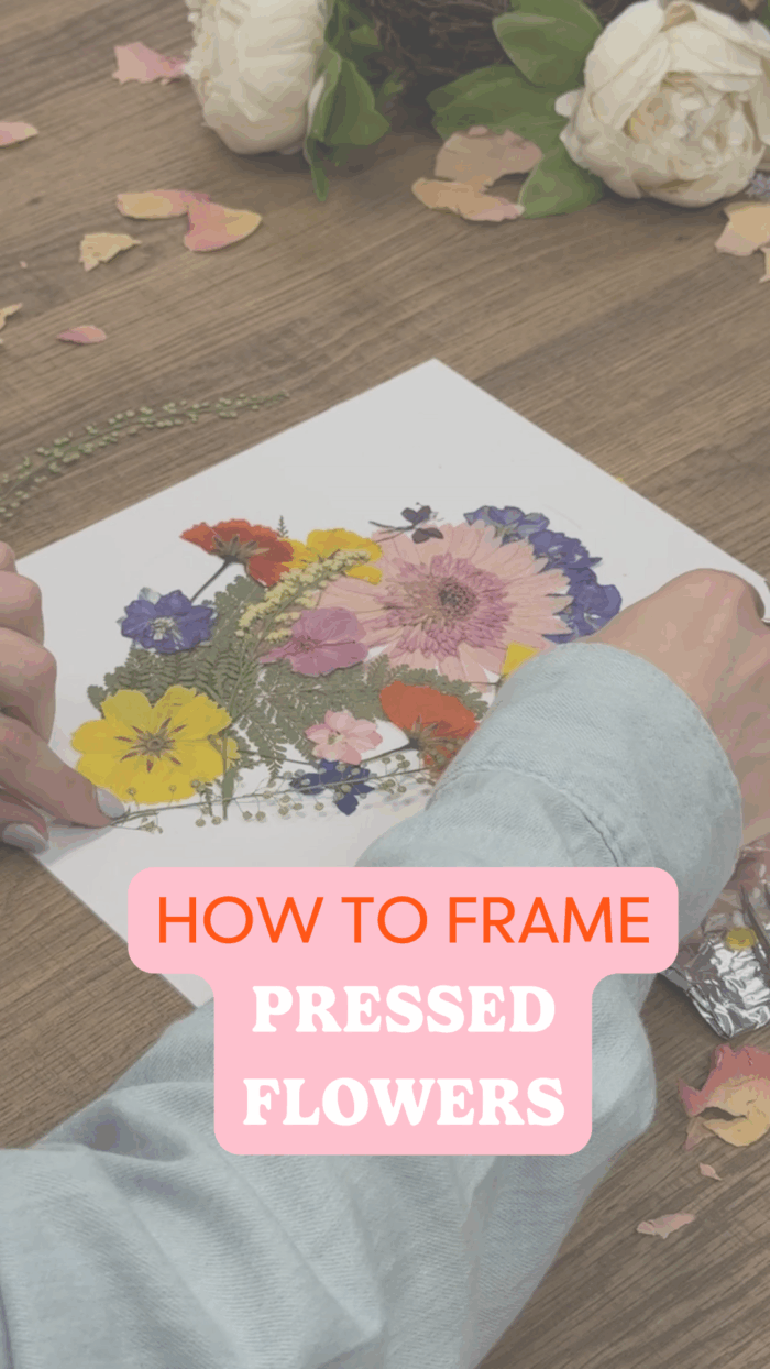 Learn How To Frame Pressed Flowers: A Framing DIY Project