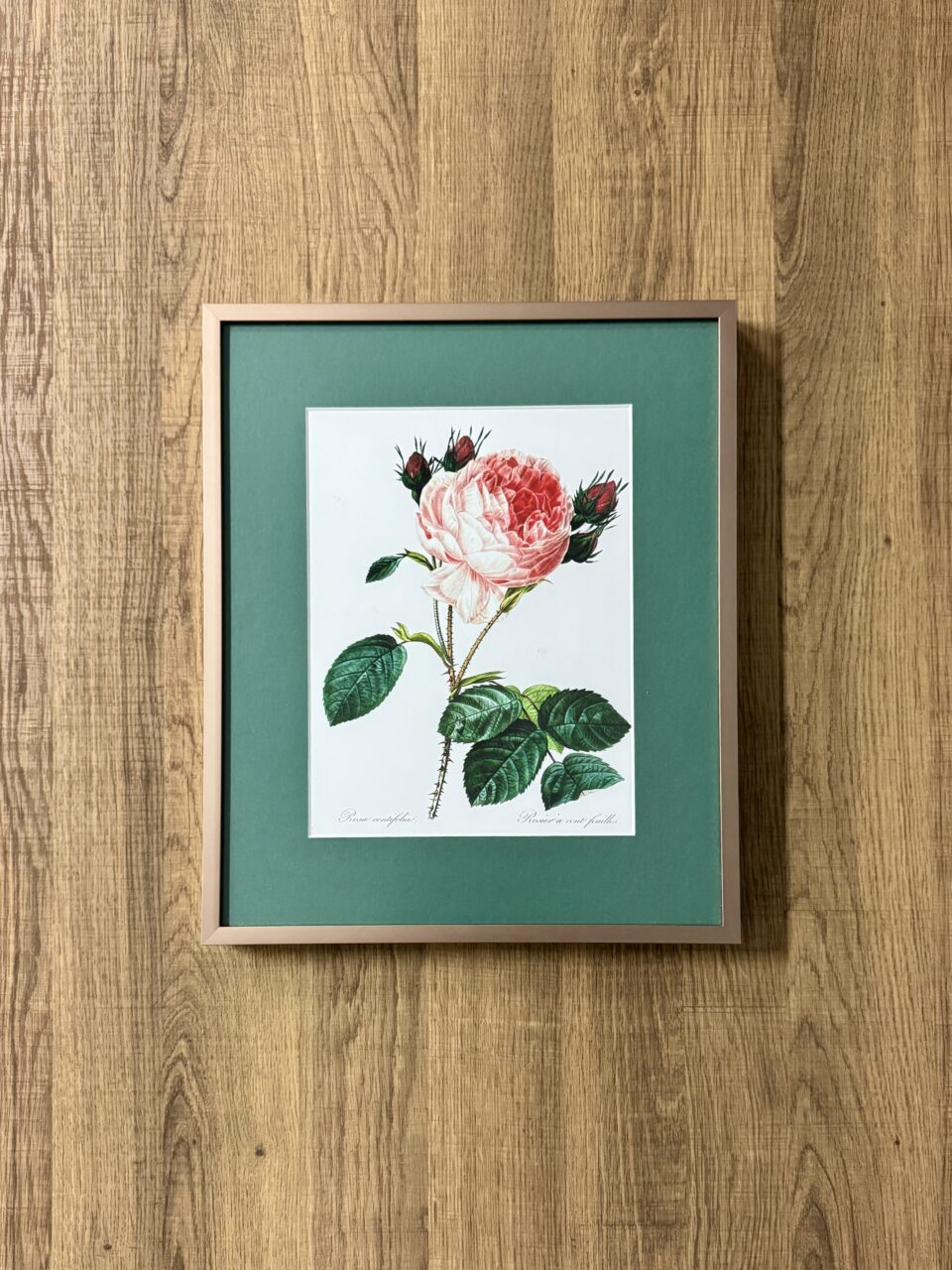 Framed floral art print