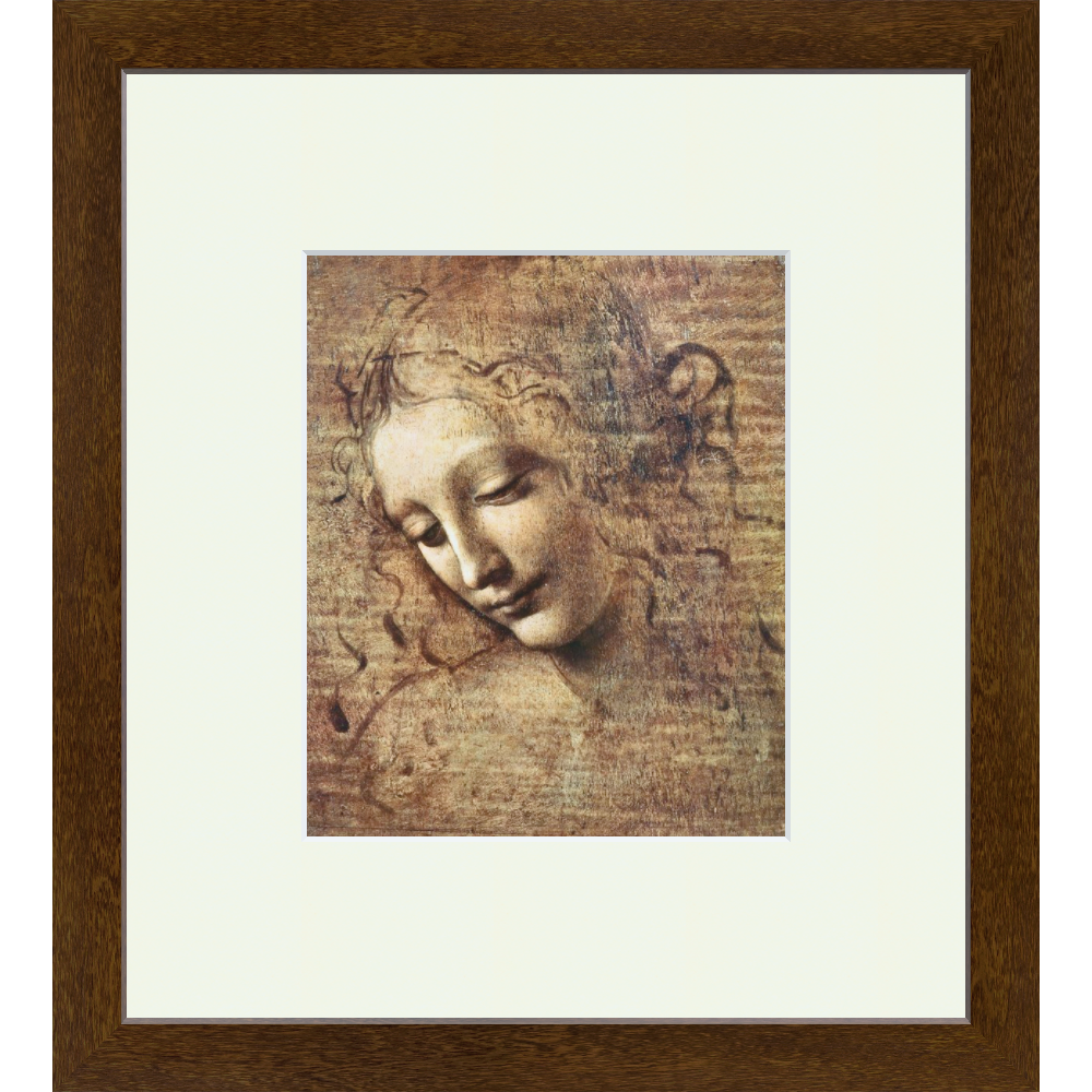 framed da vinci print