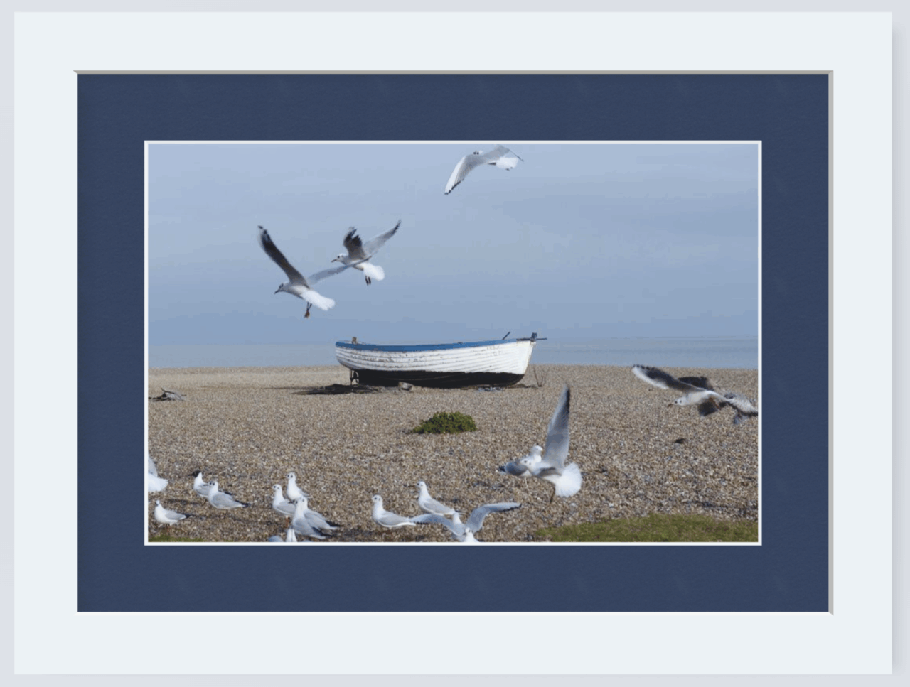 Framed Photo of Boat and Seagull
