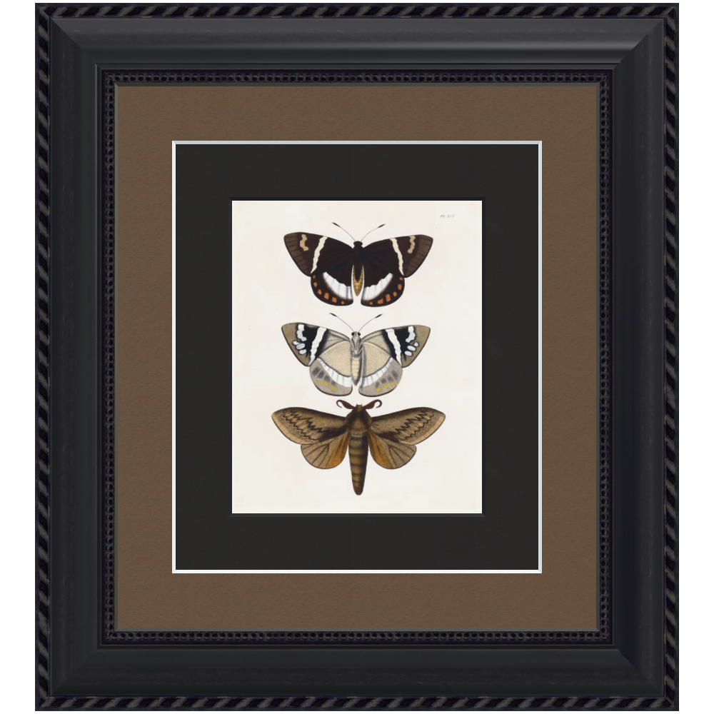 Gothic Home Decor: Dramatic Style Meets Modern Chic 11 gothic moths art print