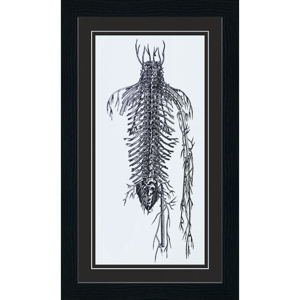 Gothic Home Decor: Dramatic Style Meets Modern Chic 9 skeleton print with black frame