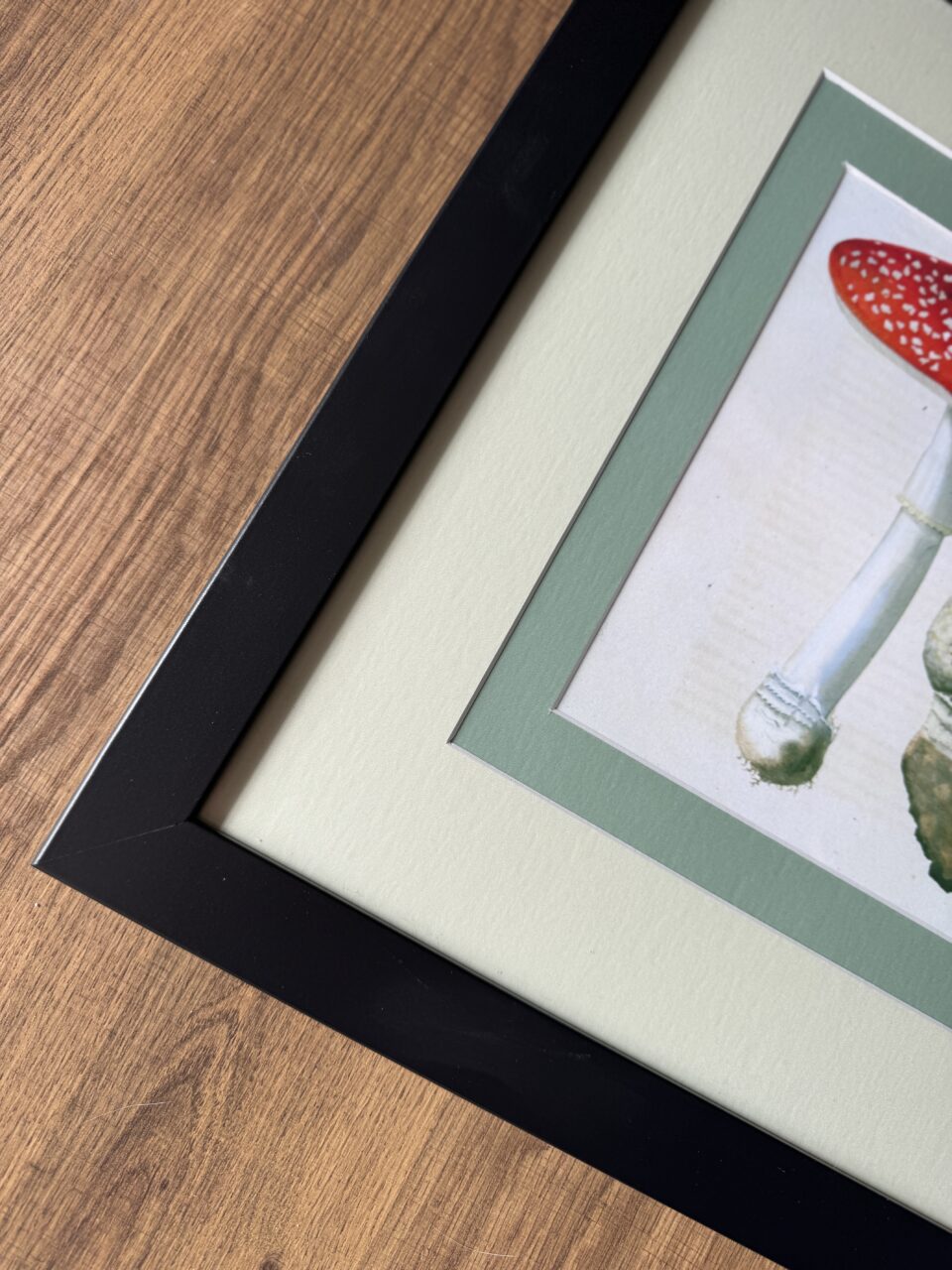 Custom Picture Framing: The 1/4” Overlap 4 botanical artwork with double matting