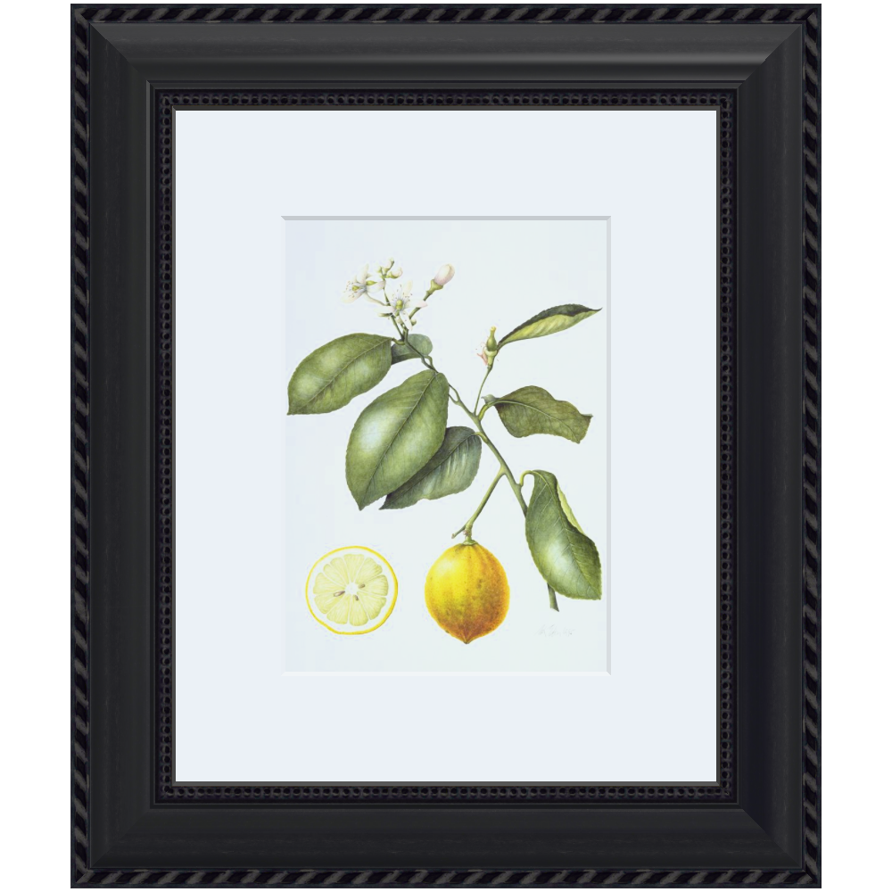 Picture Frame Gifts by Budget: Thoughtful Ideas for Every Price Point 5 framed picture of lemons
