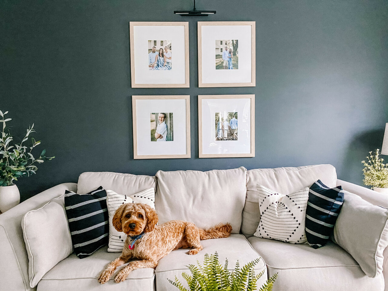 Single Mat vs Double Mat: Which Is Right For My Artwork? 13 small gallery wall of family phots above a couch