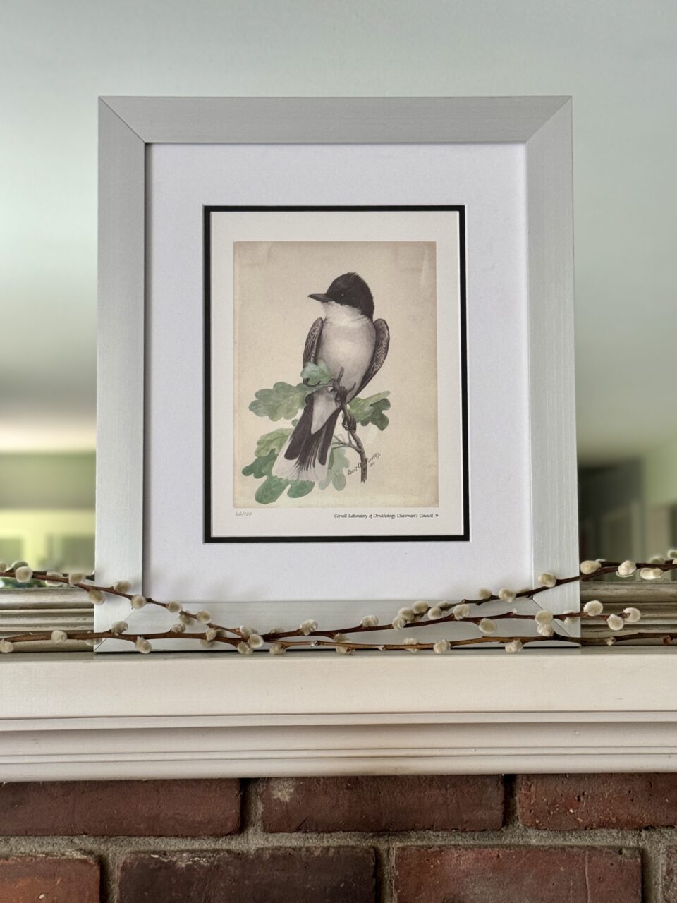 Single Mat vs Double Mat: Which Is Right For My Artwork? 8 wide silver picture frame with bird print
