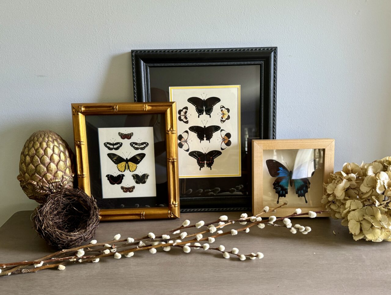 Single Mat vs Double Mat: Which Is Right For My Artwork? 15 double mat and single mat