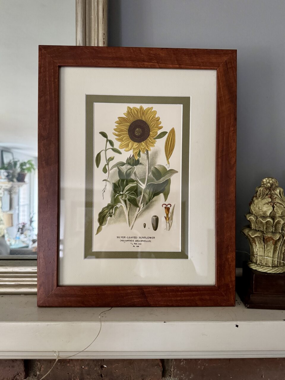 Single Mat vs Double Mat: Which Is Right For My Artwork? 3 sunflower print with double mstting