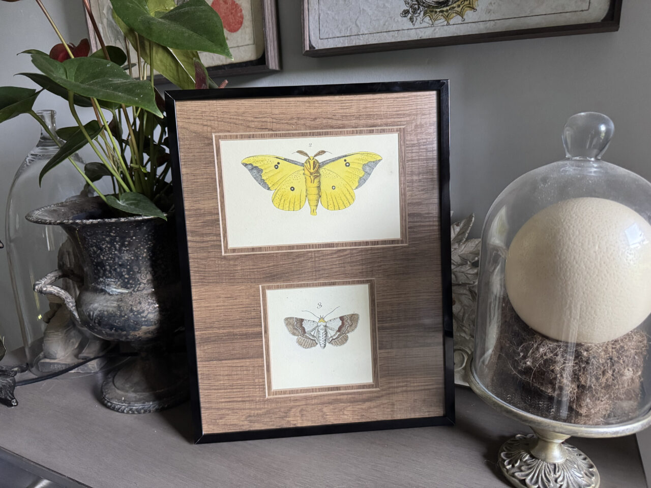 Offset Matting: What It Is and How to Use It in Custom Framing 7 collage frame with double matting