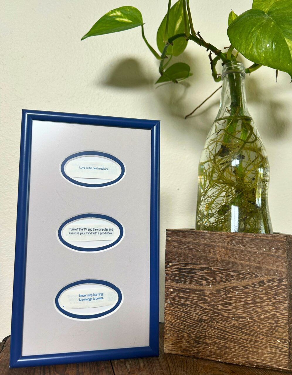 How to Frame Small Art: Your Inspiration Guide for the Small Stuff 6 custom framed fortunes in a collage frame